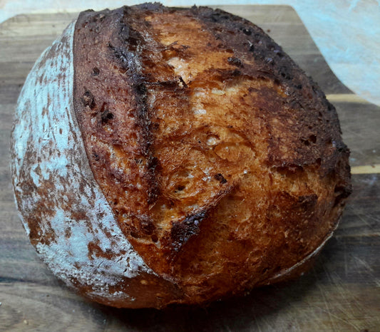 RUSTIC SPELT